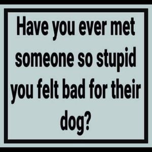 Meet your Posher, Alisha